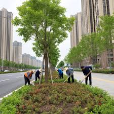2026世界杯官网 宜城城市绿化是什么单位