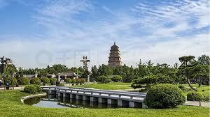 2026世界杯官网 扬中政园林绿化公司